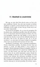 Încarcă imaginea în vizualizatorul Galerie, O limba comuna - Sorin Stoica