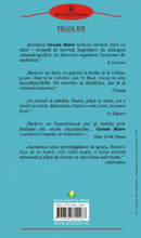 Încarcă imaginea în vizualizatorul Galerie, Ocean Mare - Alessandro Baricco