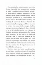 Încarcă imaginea în vizualizatorul Galerie, Sansa - Mihai Malaimare