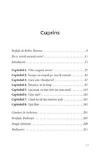 Încarcă imaginea în vizualizatorul Galerie, Totul e vindecare! - Vex King