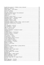 Încarcă imaginea în vizualizatorul Galerie, Plante medicinale de la A la Z - Anca MironOana CioancaUrsula StanescuMonica Hancianu