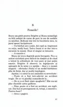 Încarcă imaginea în vizualizatorul Galerie, Crima lui Selb - Bernhard Schlink