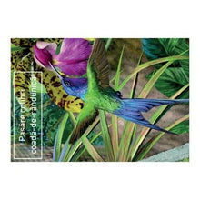 Încarcă imaginea în vizualizatorul Galerie, Ciclul vietii: Apele dulci