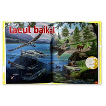 Încarcă imaginea în vizualizatorul Galerie, Ciclul vietii: Apele dulci