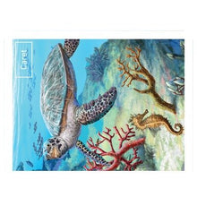 Încarcă imaginea în vizualizatorul Galerie, Ciclul vietii: Apele dulci