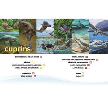 Încarcă imaginea în vizualizatorul Galerie, Ciclul vietii: Apele dulci