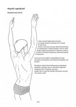 Încarcă imaginea în vizualizatorul Galerie, Anatomie pentru mi?care. Vol. II: Exerci?ii de baz? (edi?ia a II-a), Blandine Calais-Germain , Andr?e Lamotte