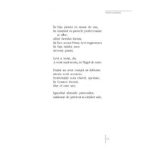 Încarcă imaginea în vizualizatorul Galerie, Vorbind pietrei - Norman Manea