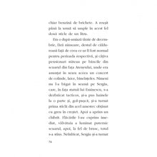 Încarcă imaginea în vizualizatorul Galerie, Lumea ca literatura. Alte amintiri - Ioan Grosan