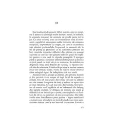 Încarcă imaginea în vizualizatorul Galerie, Druidul - Mauro Raccasi