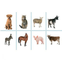 Încarcă imaginea în vizualizatorul Galerie, Animale - Invat limba engleza