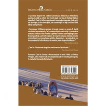 Încarcă imaginea în vizualizatorul Galerie, Ceai in Sahara - Paul Bowles