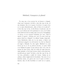 Încarcă imaginea în vizualizatorul Galerie, Parul conteaza enorm, Dan Lungu