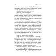 Încarcă imaginea în vizualizatorul Galerie, Marele experiment - Jeffrey Eugenides