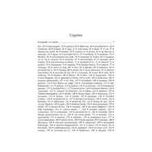 Încarcă imaginea în vizualizatorul Galerie, Intermezzo. Graziella - Marin Mincu