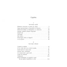 Încarcă imaginea în vizualizatorul Galerie, Un roman intr-o gara mica - Kocsis Francisko