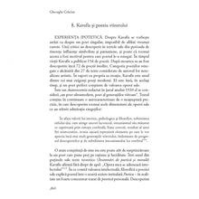Încarcă imaginea în vizualizatorul Galerie, Aisbergul poeziei moderne - Gheorghe Craciun