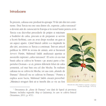 Încarcă imaginea în vizualizatorul Galerie, Povestea Cafelei Turcesti, M. Sabri Koz, Kemalettin Kuzucu