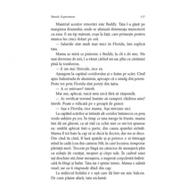 Încarcă imaginea în vizualizatorul Galerie, Marele experiment - Jeffrey Eugenides