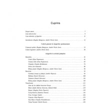 Încarcă imaginea în vizualizatorul Galerie, Parul conteaza enorm, Dan Lungu