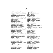 Încarcă imaginea în vizualizatorul Galerie, Dictionar de buzunar norvegian-roman/roman-norvegian - Crina Leon