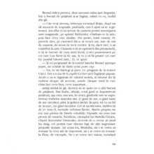 Încarcă imaginea în vizualizatorul Galerie, Matei Brunul - Lucian Dan Teodorovici