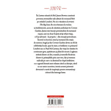 Încarcă imaginea în vizualizatorul Galerie, Lumea vazuta de Bob - James Bowen