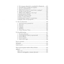 Încarcă imaginea în vizualizatorul Galerie, Aisbergul poeziei moderne - Gheorghe Craciun