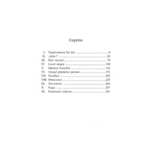 Încarcă imaginea în vizualizatorul Galerie, Intrarea soarelui - Cecilia Stefanescu