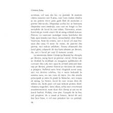 Încarcă imaginea în vizualizatorul Galerie, Dupa plans - Cristian Fulas, ed. 2019