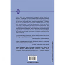 Încarcă imaginea în vizualizatorul Galerie, Drumurile catre Sata - Alan Booth