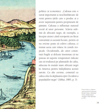 Încarcă imaginea în vizualizatorul Galerie, Povestea Cafelei Turcesti, M. Sabri Koz, Kemalettin Kuzucu