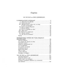 Încarcă imaginea în vizualizatorul Galerie, 1001 de zile sau noua Seherezada - Ilf Si Petrov
