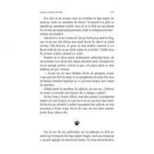 Încarcă imaginea în vizualizatorul Galerie, Lumea vazuta de Bob - James Bowen