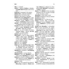 Încarcă imaginea în vizualizatorul Galerie, Dictionar de buzunar german-roman/roman-german - Hans Neumann