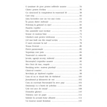 Încarcă imaginea în vizualizatorul Galerie, Terasa fericirii - Lavinia Balulescu