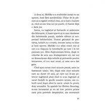 Încarcă imaginea în vizualizatorul Galerie, Pisica si soarecele - Gunter Grass