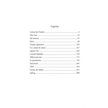 Încarcă imaginea în vizualizatorul Galerie, Labirintul spiritelor - Carlos Ruiz Zaf?n