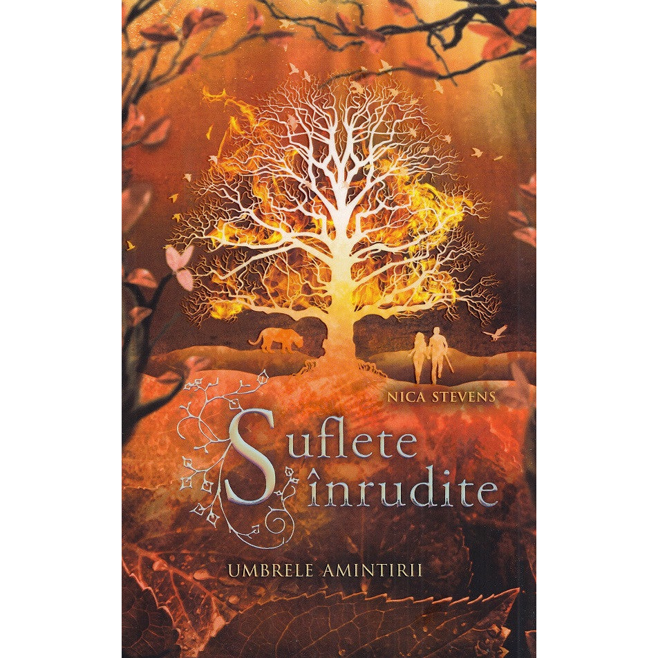 Suflete inrudite. Umbrele amintirii - Nica Stevens, editia 2022