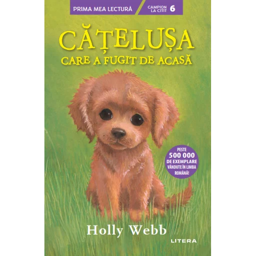 Catelusa care a fugit de acasa, Holly Webb