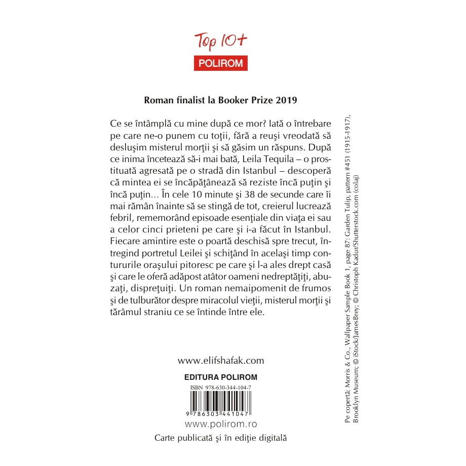 10 minute si 38 de secunde in lumea asta stranie - Elif Shafak, editia 2024