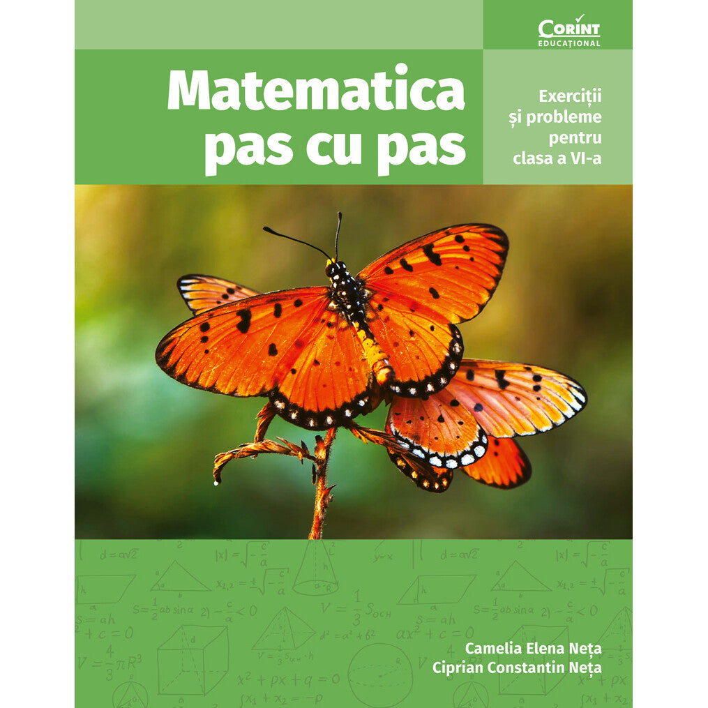 Matematica pas cu pas. Exercitii si probleme pentru clasa a VI-a, Camelia Elena Neta