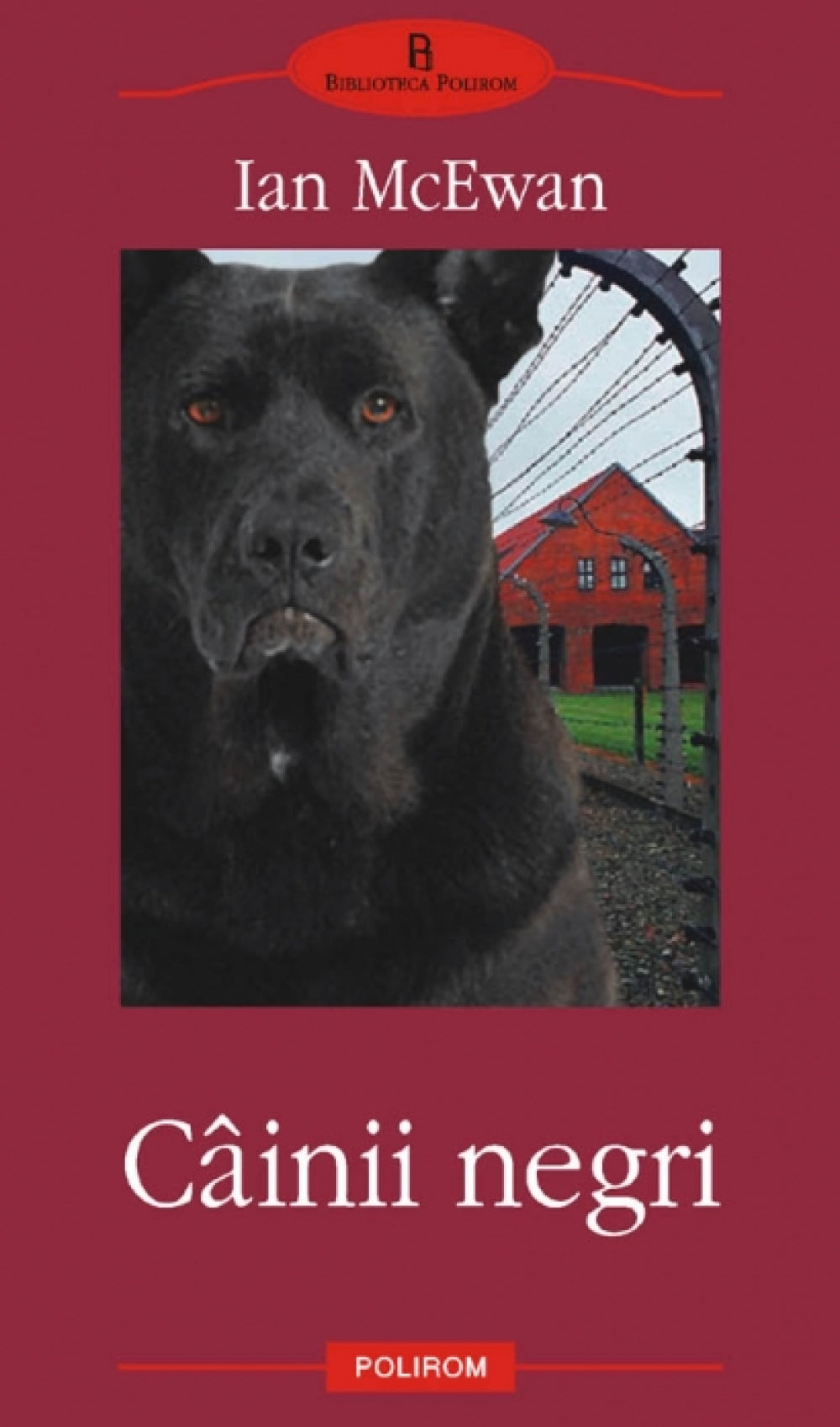 Cainii negri - Ian McEwan