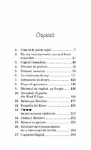 Încarcă imaginea în vizualizatorul Galerie, Divortul in inalta societate - Plum Sykes
