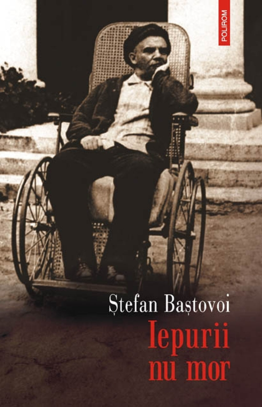Iepurii nu mor - Stefan Bastovoi