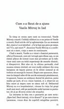 Încarcă imaginea în vizualizatorul Galerie, Intoarcerea pungutei cu doi bani - Cip Iesan
