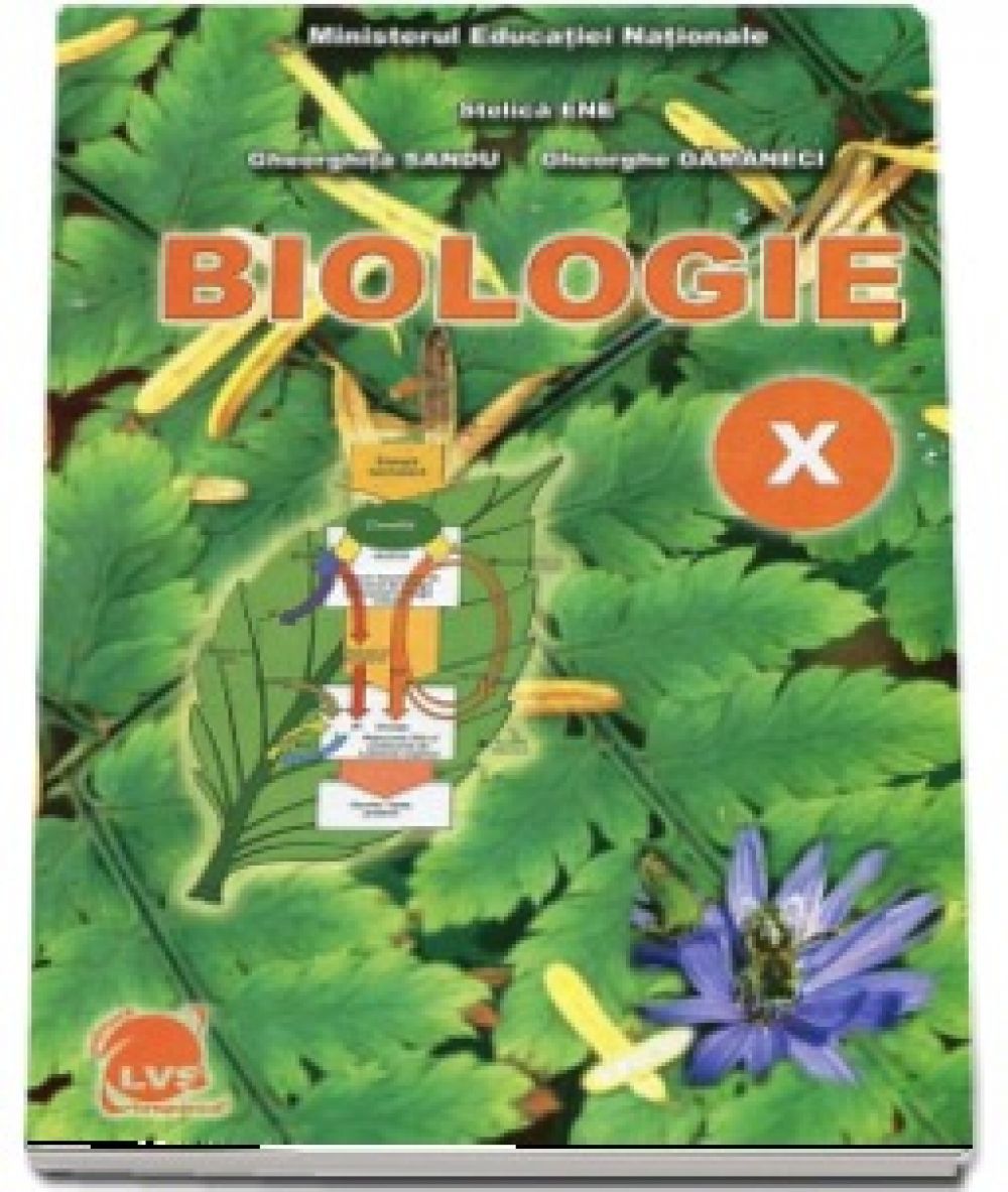 Biologie Manual pentru cls a-X-a, autor Stelica Ene