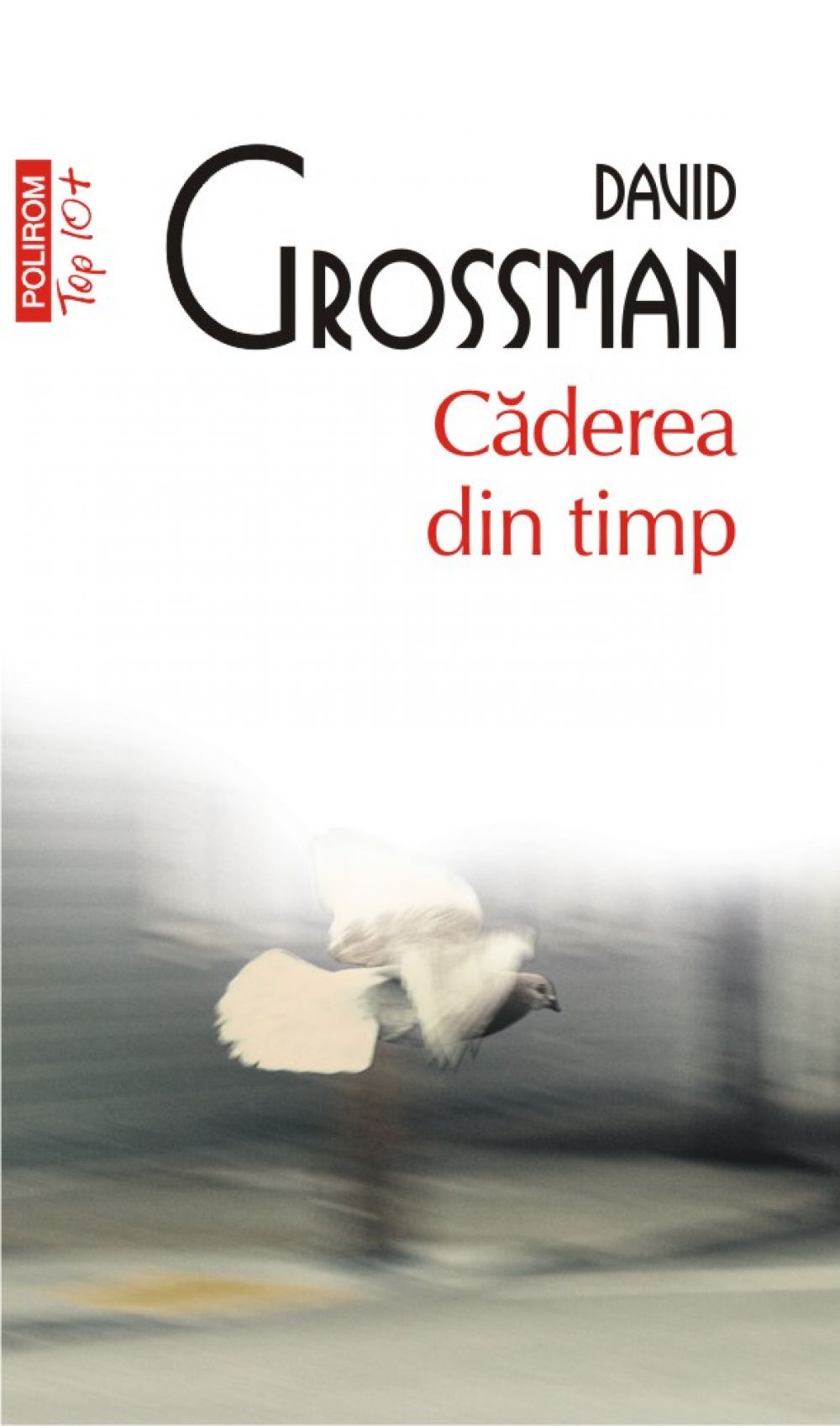Caderea din timp.O poveste pe mai multe voci, David Grossman