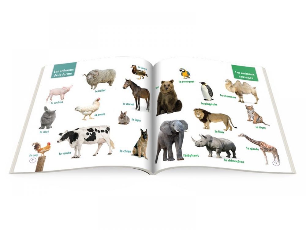 Carti educative cu CD Invat limba franceza