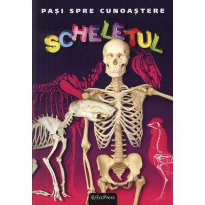 Pasi spre cunoastere nr 17 Scheletul